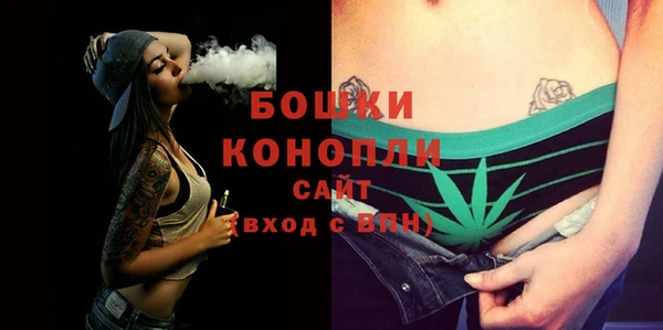Альфа ПВП Дмитровск
