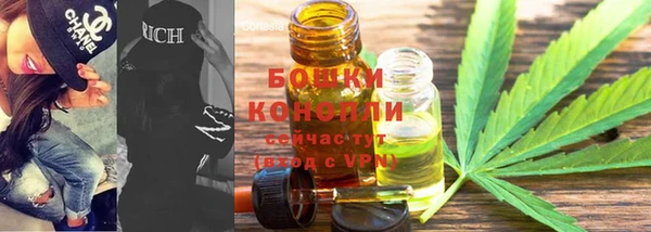 Альфа ПВП Дмитровск