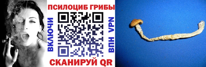 Псилоцибиновые грибы мухоморы OMG сайт darknet Telegram Архангельск